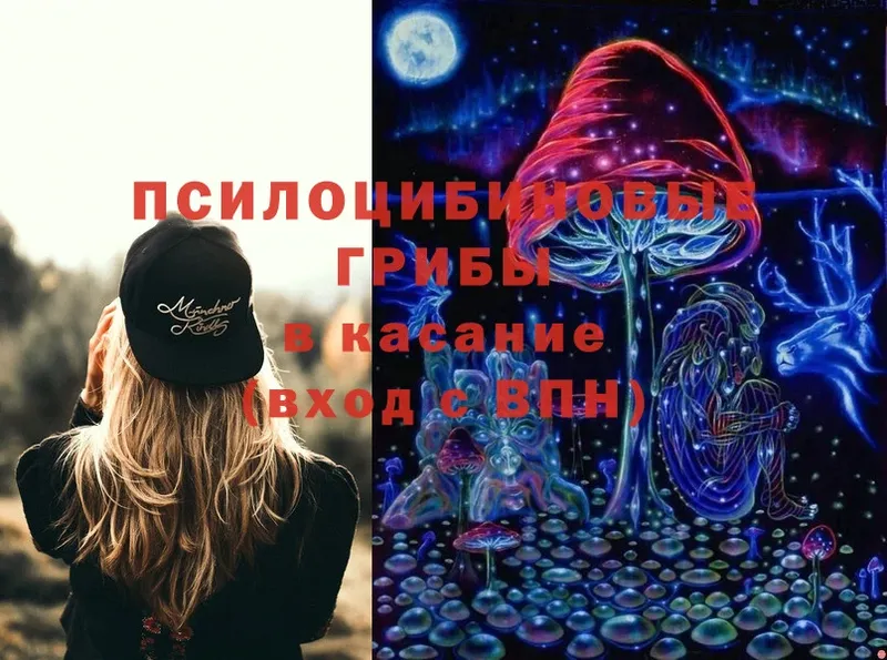 Псилоцибиновые грибы Magic Shrooms  Верхний Уфалей 